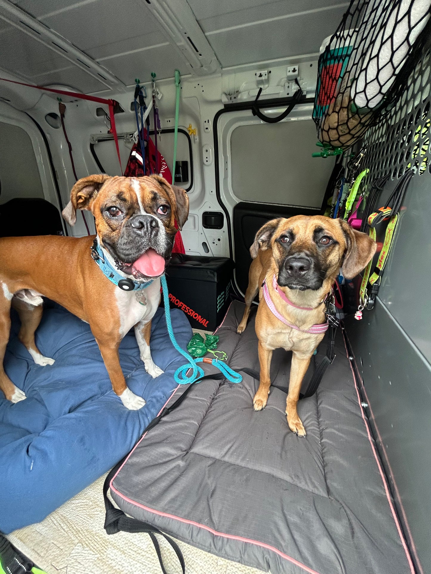 Buddies Van Transportation