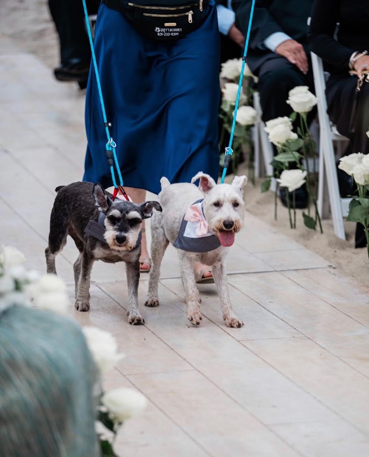 Wedding Assitance