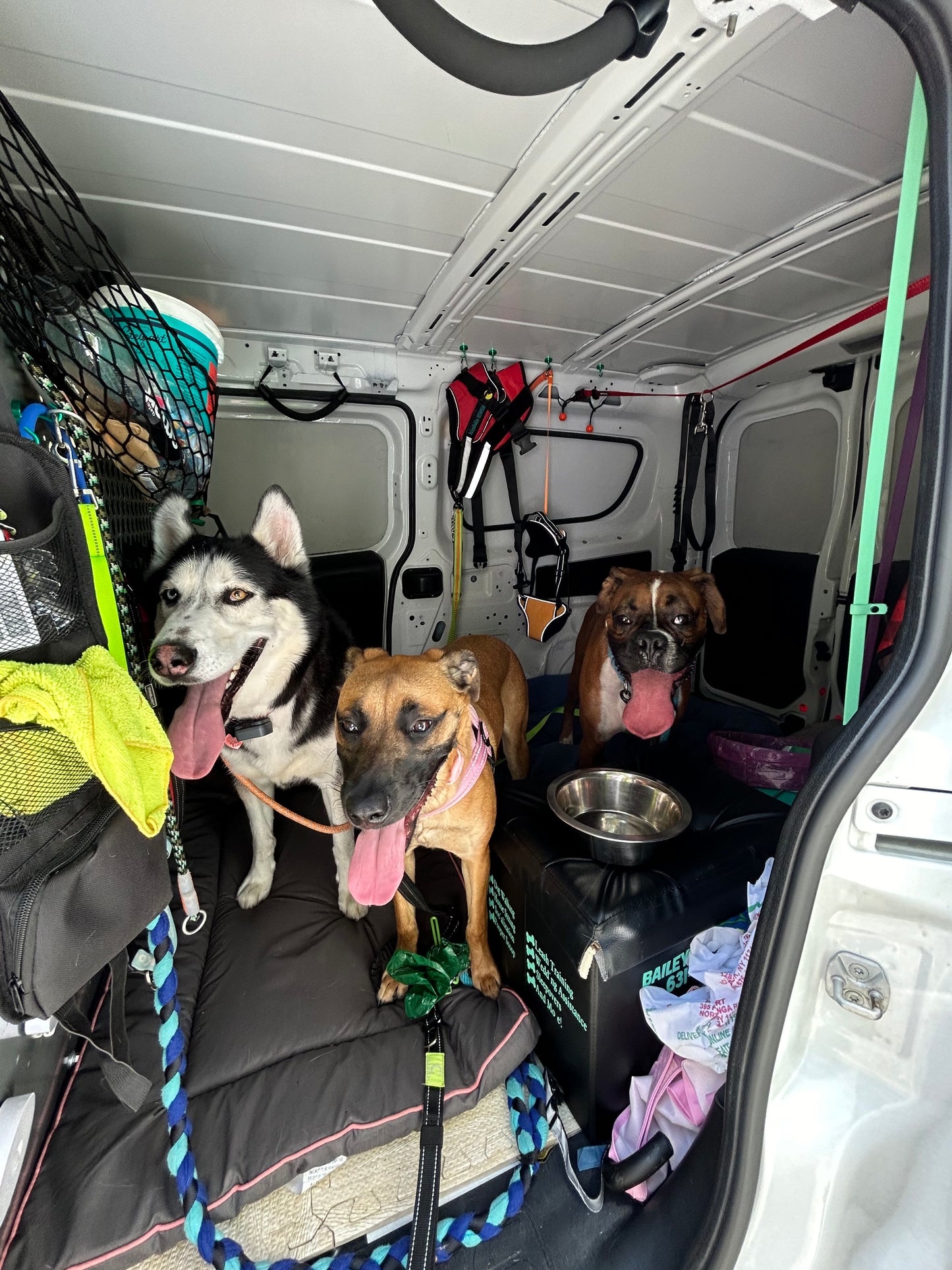 Buddies Van Transportation