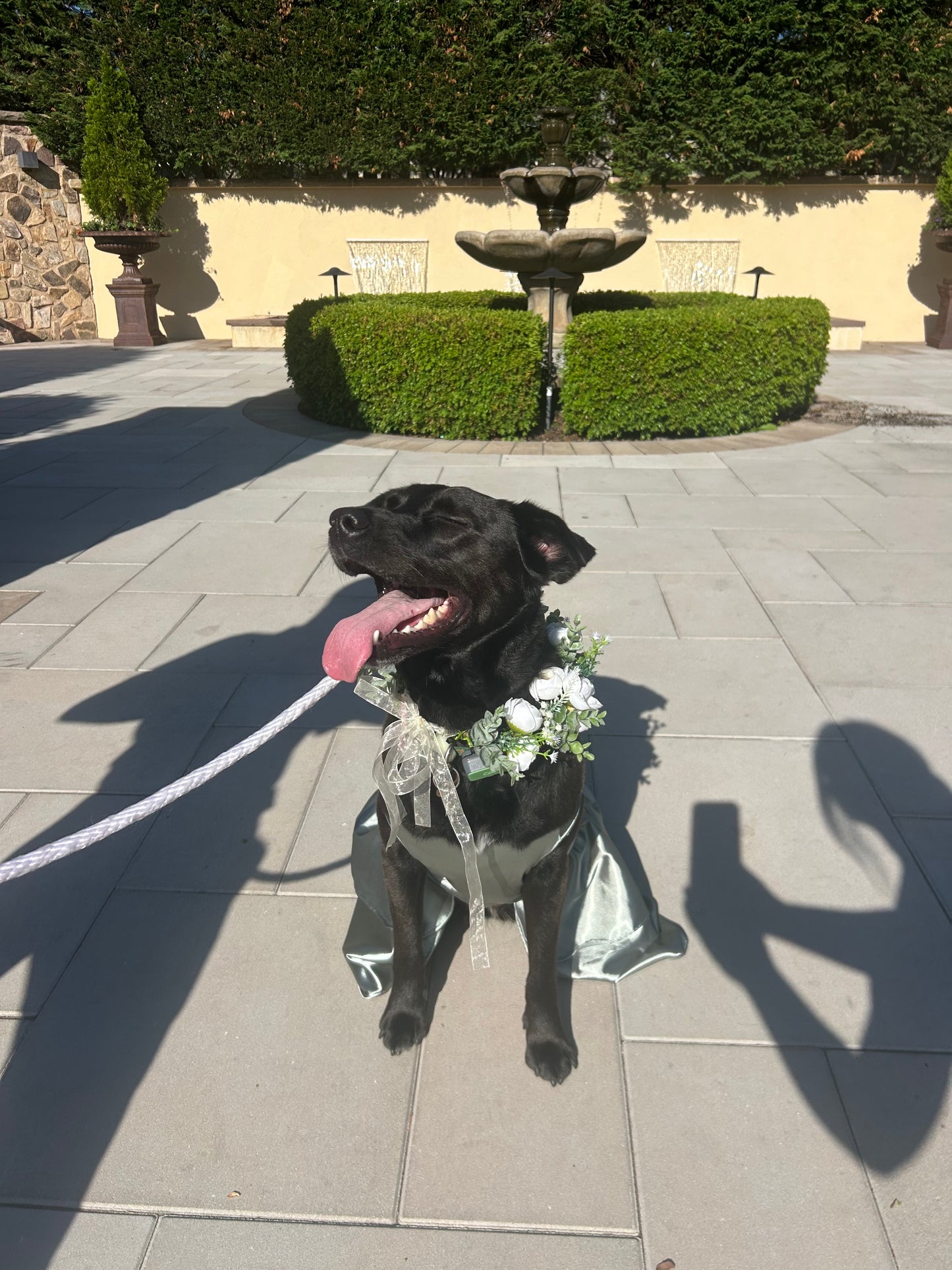 Wedding Assitance
