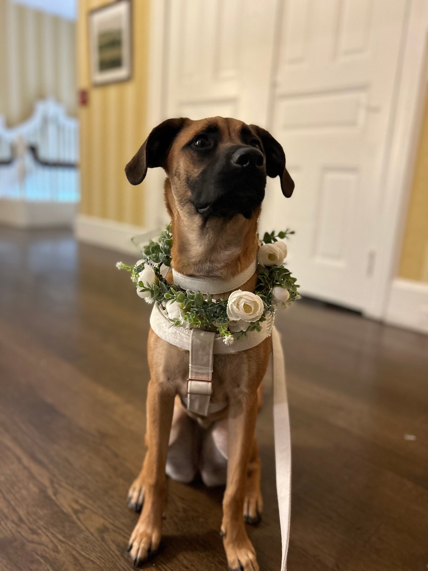 Wedding Assitance
