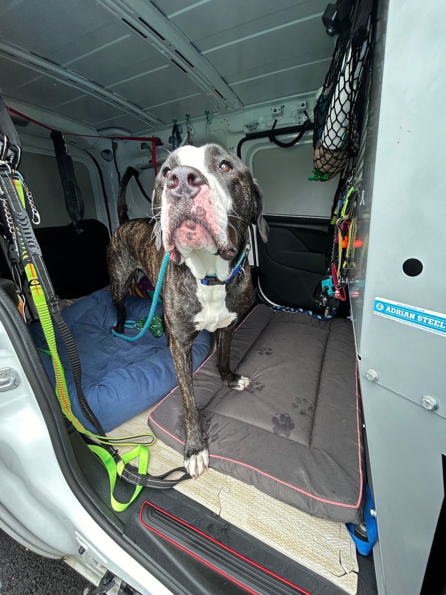 Buddies Van Transportation