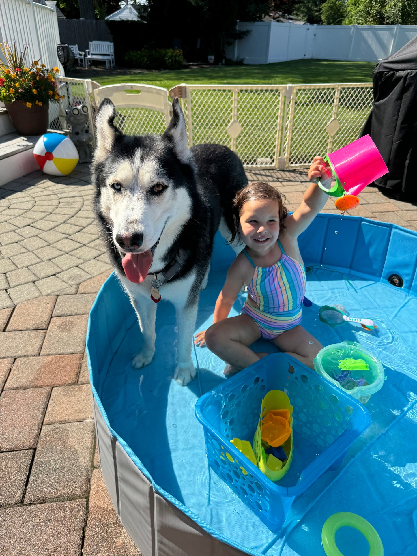 Buddies Daycation