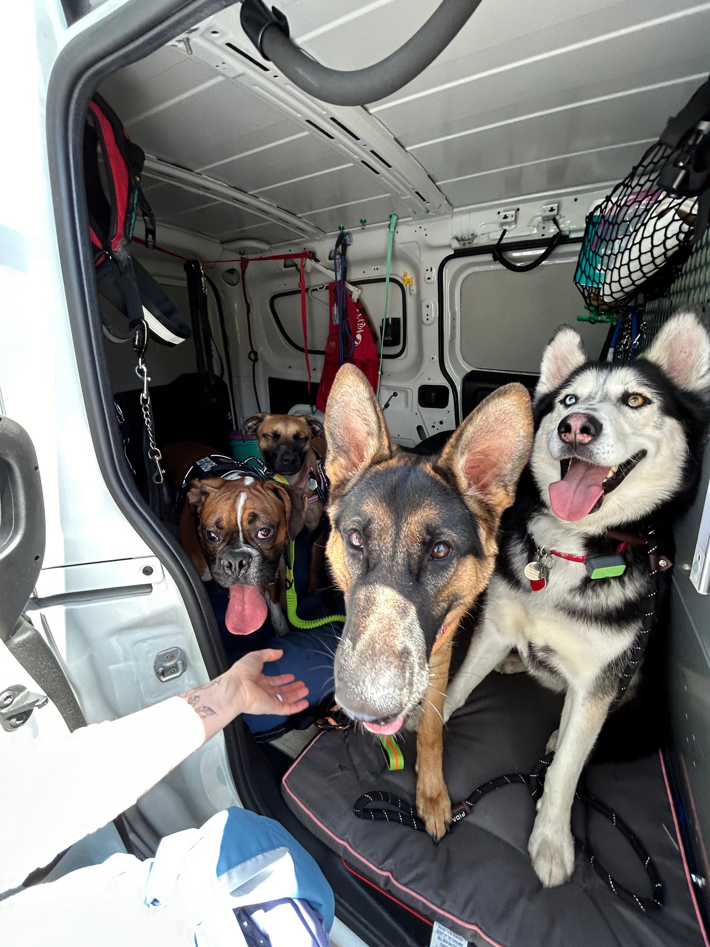 Buddies Van Transportation