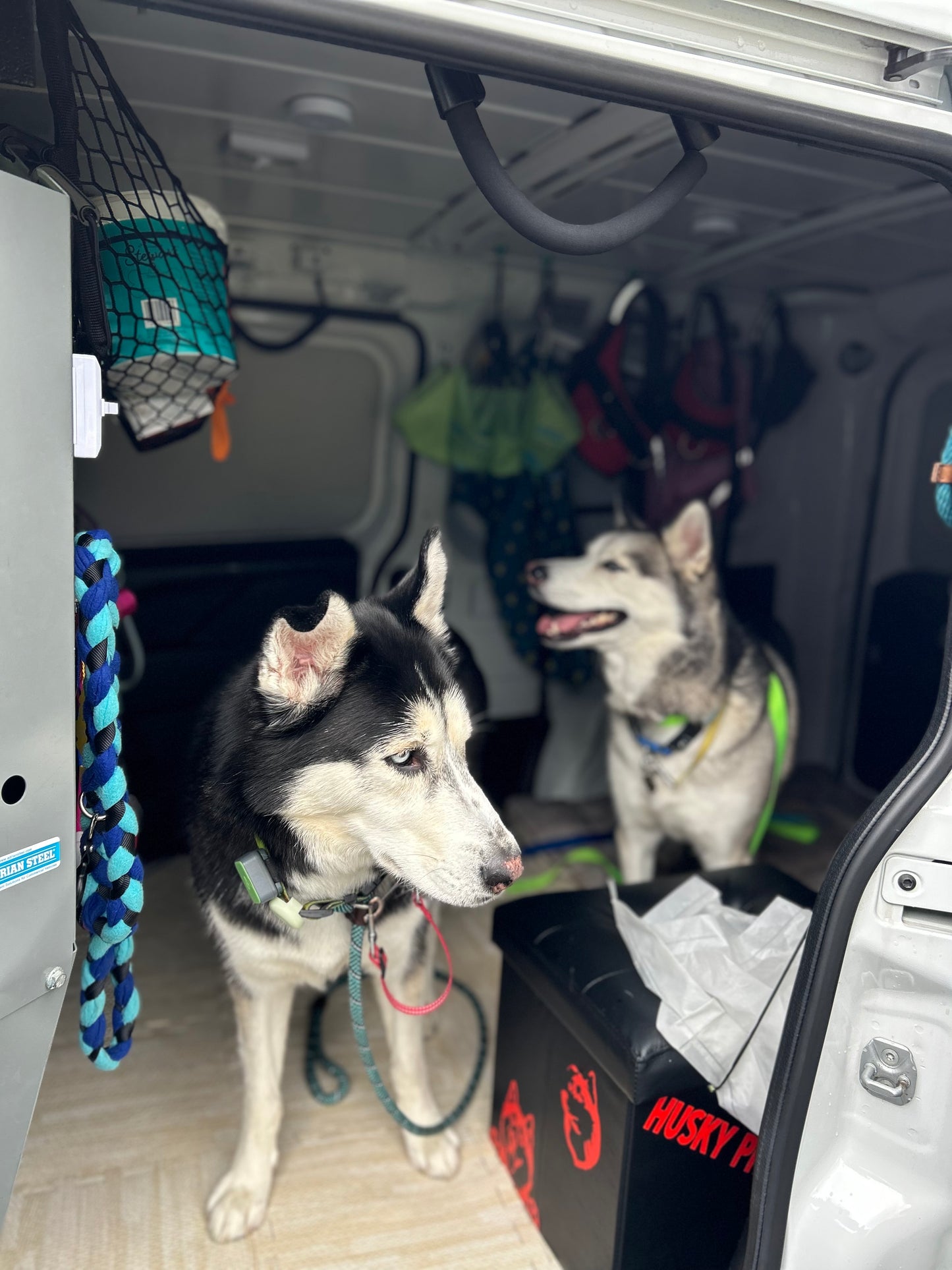 Buddies Van Socializations