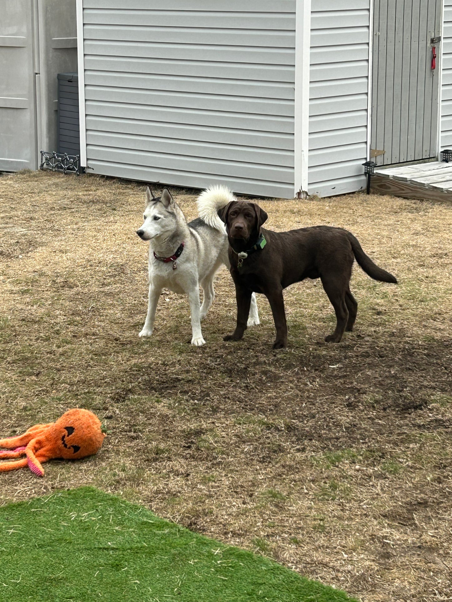 Buddies Daycation