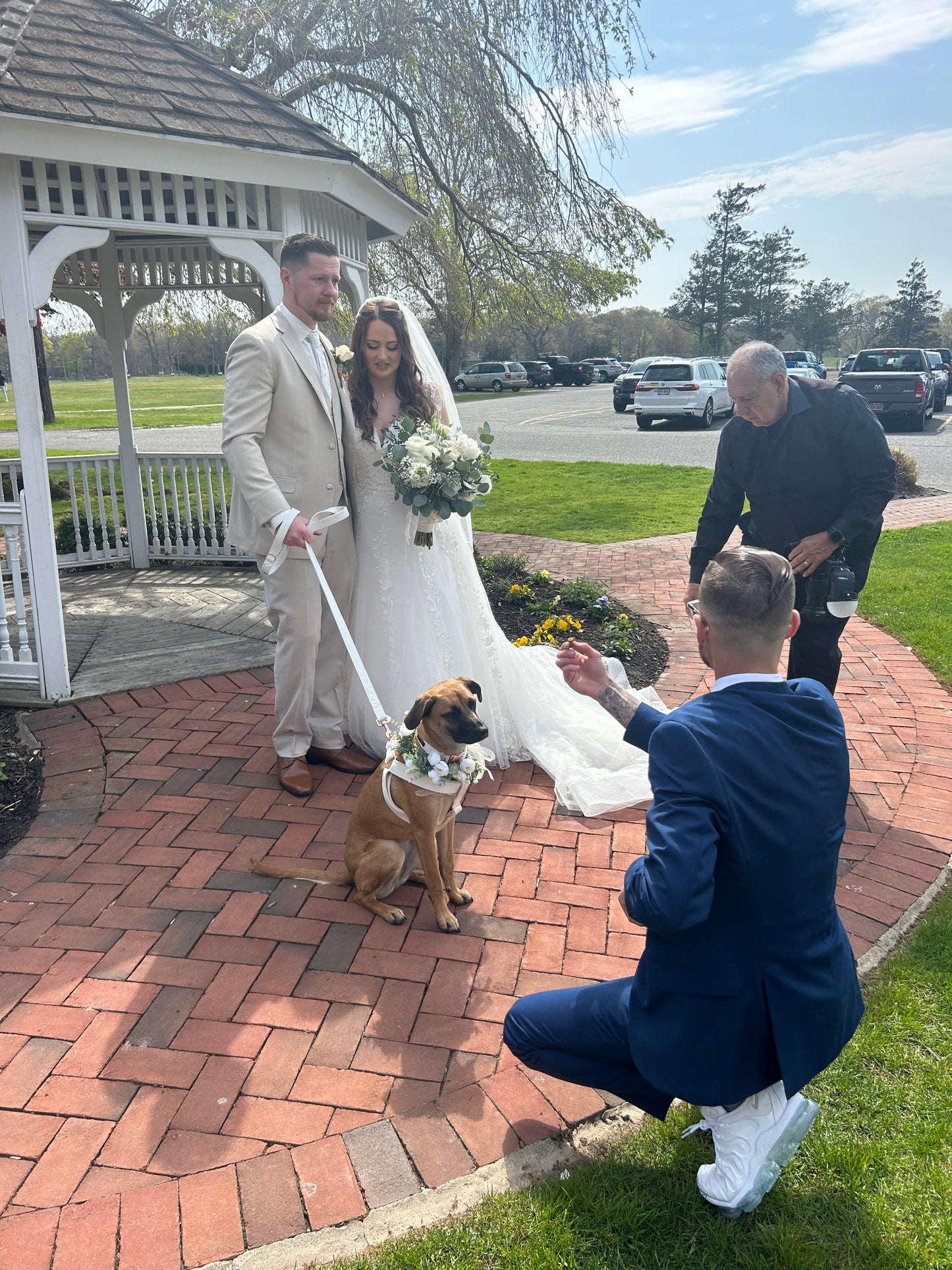 Wedding Assitance
