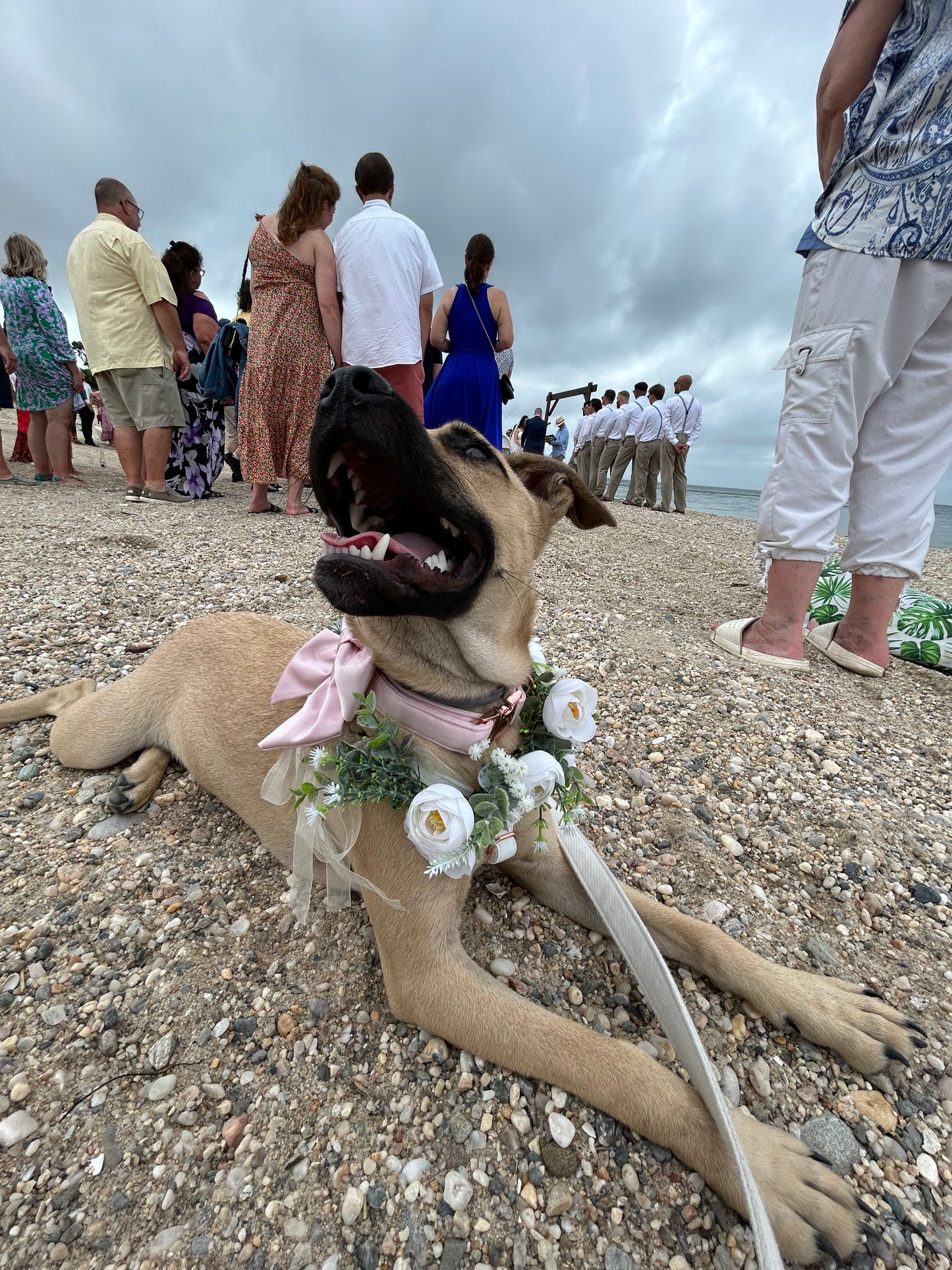 Wedding Assitance