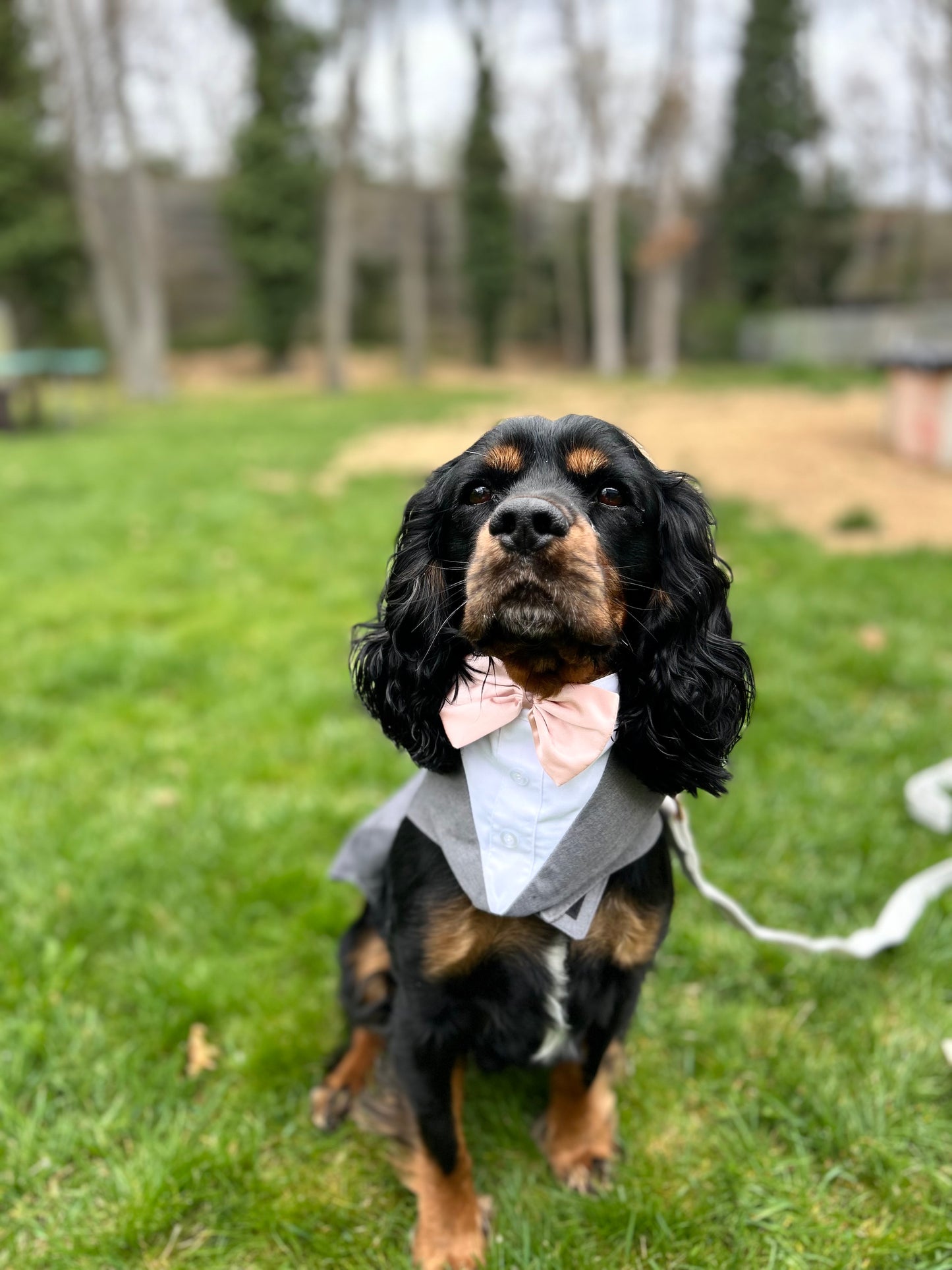 Wedding Assitance