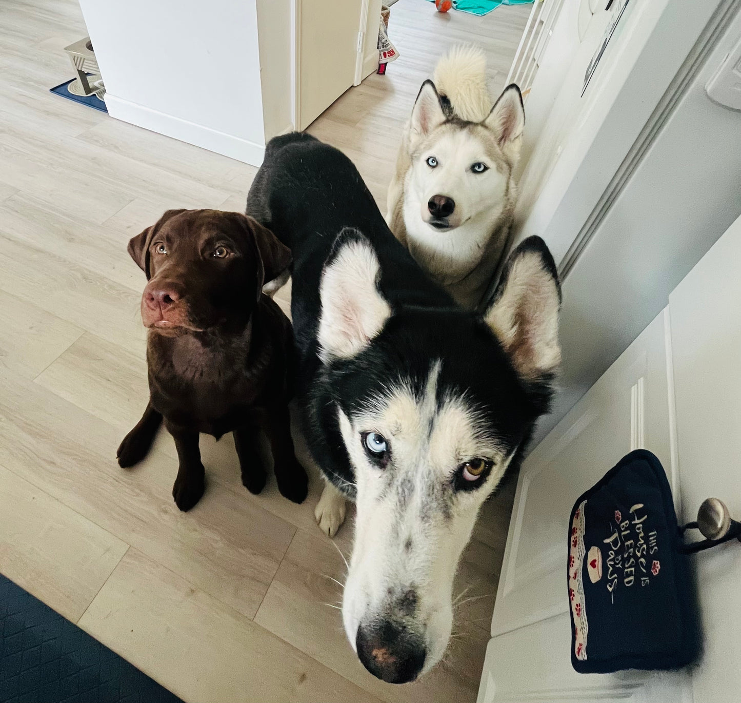 Buddies Daycation