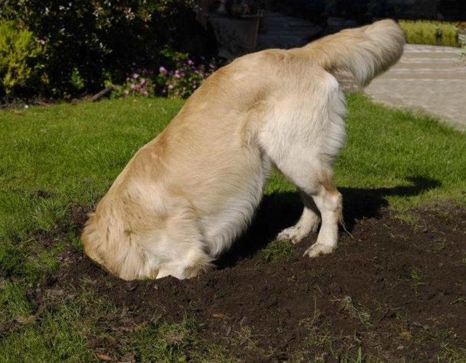 Hole Filling