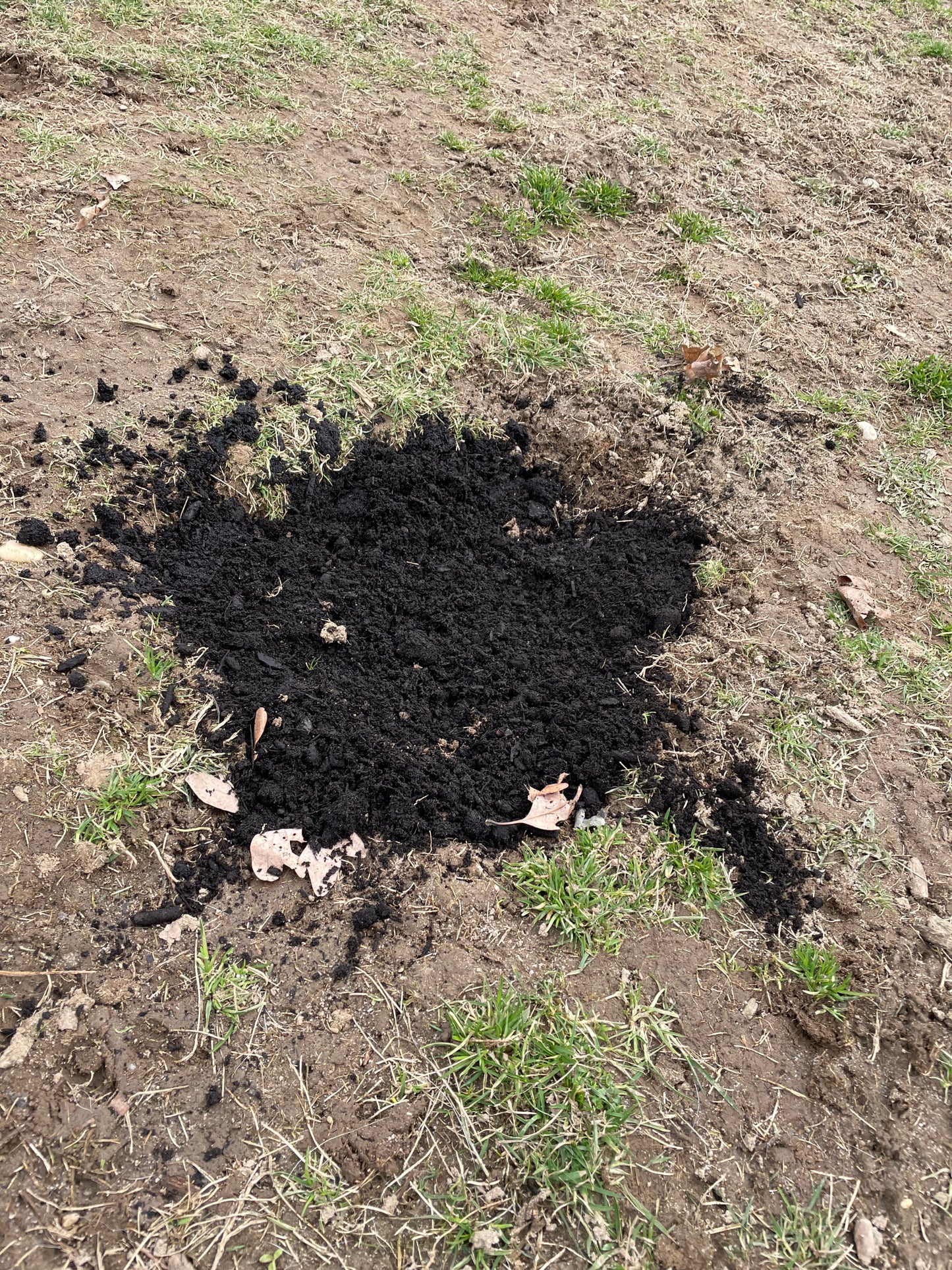 Hole Filling