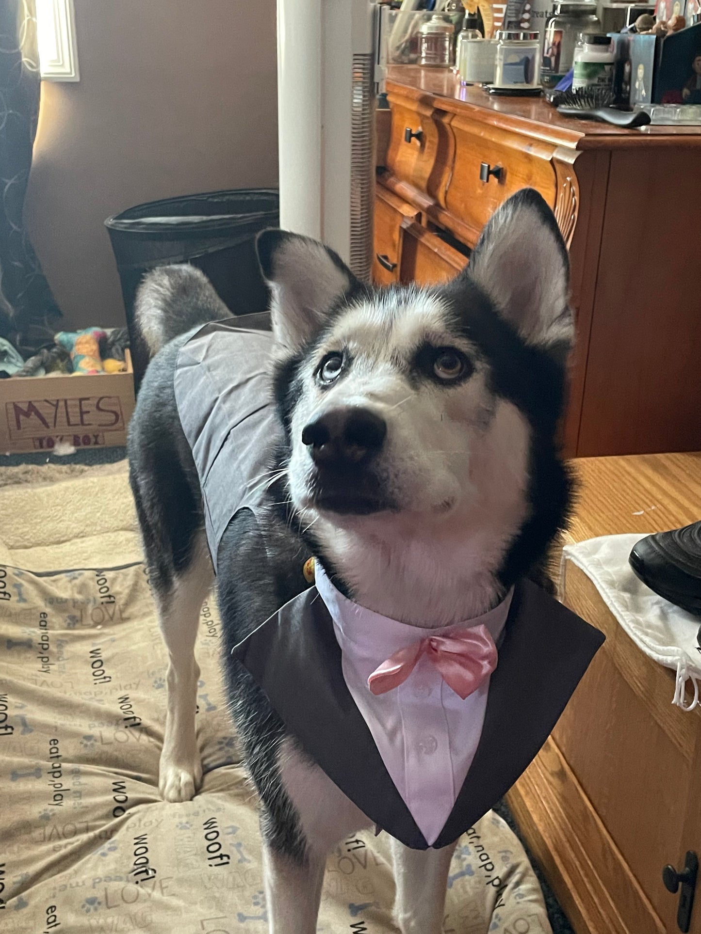 Wedding Assitance