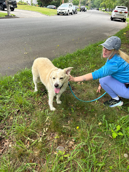 Leash Work