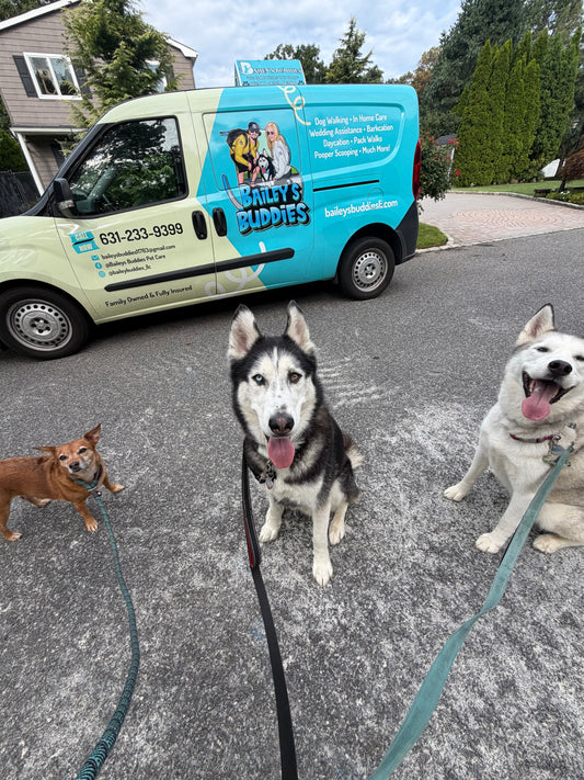 Buddies Van Transportation