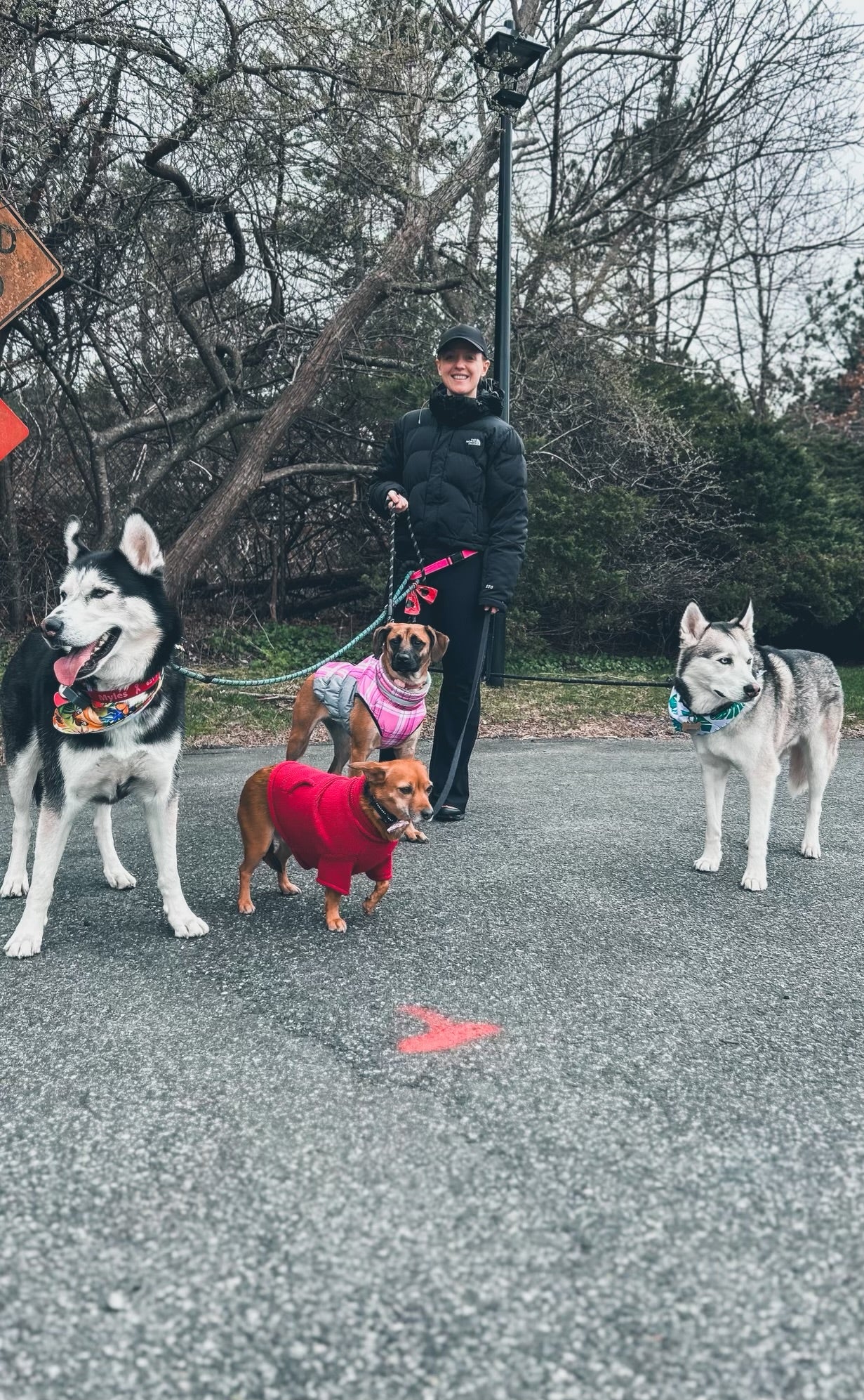 Social Time/Pack Walks