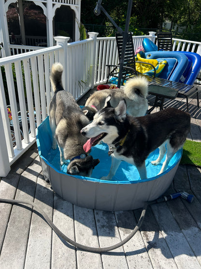 Buddies Barkcation