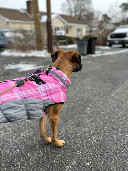 Leash Work