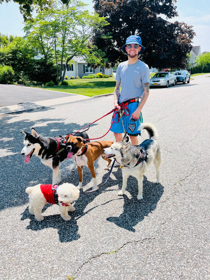 Social Time/Pack Walks