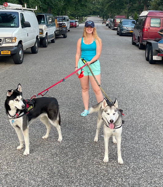 Pet Care Services Baileys Buddies